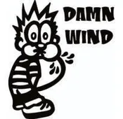 Damn Wind Pee On Sticker