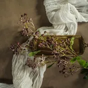 34" Wine Daphne Spray