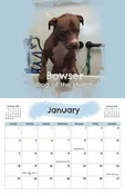 2026 Canine Clean Dog of The Month Calendar