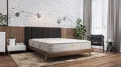 Harvest Green Original Mattress