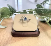 Montana Sapphire Ring - 14kw