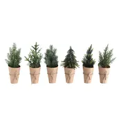 10-1/4" H Plastic Artificial Greenery