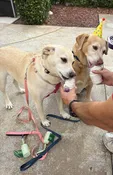Contest - Carley &amp;amp; Griffey-Bastianelli
