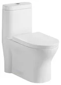 One piece toilet #207