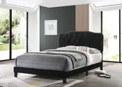 B102-FB: Black Velvet Full Bed