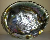 Abalone Smudge Shell