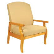 Bariatric Room Chair