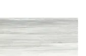 Advantage Asteria Gray 12x24 — Statements Tile