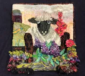 Proddy Sheep