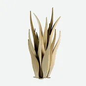 Emperor Agave