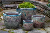 Aspara Planter - Set of 4 by Campania International