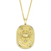 0.02CT DIAMOND ZODIAC CANCER CRAB STAR MATTE CHOPIN CHAIN NECKLACE