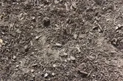 Boost - Soil Amendment