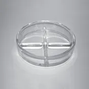 Petrie Dish, Pyrex Glass/Divided into 4 quadrants