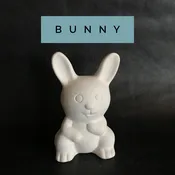 Bunny — Painted Plate