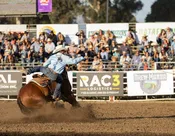 Haven Meged NFR Saddle Pad