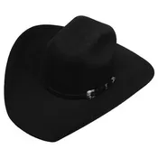 4X Fur Blend Silverton Hat