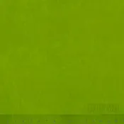 0665 Lime Half Yard