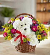 A Dog in a Basket