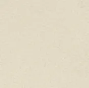 22 Longlife Rustika Wolke Leather Swatch