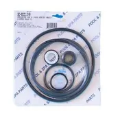 Aladdin GO-KIT38 Seal Kit for Pentair Sta-Rite MaxiGlas & DuraGlas Pumps