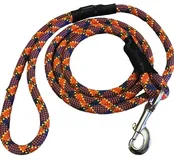 Original Clip Leash 6 ft