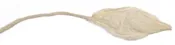 Birch Lokta Twisted Cord to Wrap Invitations