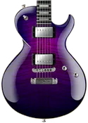 Bolero STP - Midnight Violet