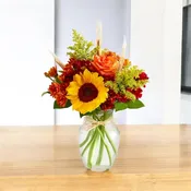 Autumn Moments