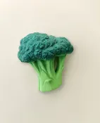 Broccoli Bath Toy