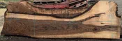 36296 Highly Figured Bastogne Walnut Slab 171"x48"-26"x3 1/4" May 2025