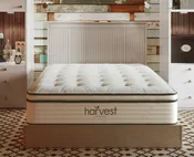 Harvest Green Pillow Top