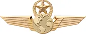 2136SW Star & Wreath Wing with Generic Emblem