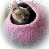 Cat Cave