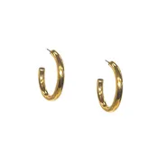 1 1/4" Hollow Post Hoop