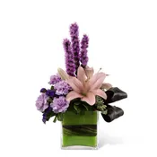The FTD Cosmopolitan Arrangement