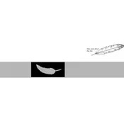 Balance Due For Custom Titanium Wedding Ring with Feather Design — Unique Celtic Wedding Rings
