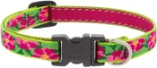 1/2in Petunias 8-12in Length Adjustable Collar