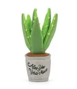 Aloe-ve You Plant