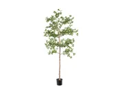 6' Faux Shady Lady Tree