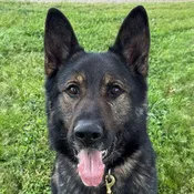 Axel