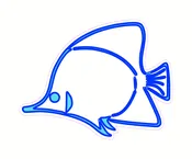 Angel Fish Design Silly Patch