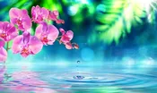 Clear Anxiety, Worry &amp;amp; Stress with NLP Training