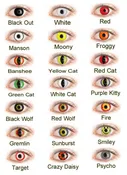 CONTACT LENSES