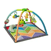 Activity/Play Mat