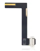 iPad Air 2 Charging Port