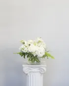White Classic — Flowers, Etcetera by Denise