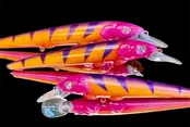 FRUITY TIGER