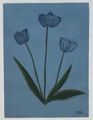 Bluebird Gray