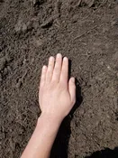 Compost